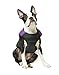 Gooby Padded Vest Dog Jacket - Purple, Small - Warm Zip Up Vest Fleece Jacket with Dual D Ring Leash Water Resistant for Small to Medium Dogs