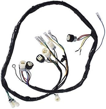 Yamaha Warrior Wiring Harnes / Amazon Com Tikscience For Yamaha Warrior