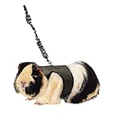 Kaytee Comfort Harness & Stretchy Leash, Large