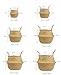 RISEON Natural Seagrass Belly Basket Panier Storage Plant Pot Collapsible Nursery Laundry Tote Bag with Handles (15