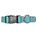 Pawtitas Reflective Dog Collar Adjustable Dog Collars for Small Dogs Puppy Collar Small Dog Collar Teal Dog Collar