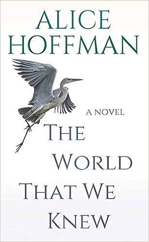 Amazon Com The World That We Knew 9781643584140 Hoffman Alice Books