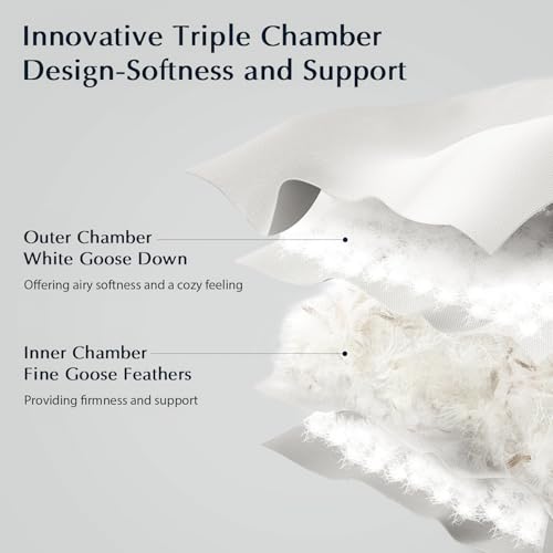 Pacific Coast Bed Pillow, Hotel Collection Goose Feather and Down Firm Pillow for Sleeping, 3-Chamber Design, Soft and Supportive (King (Pack of 2))