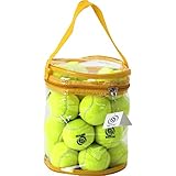 Briton Tennis Balls with Mesh Carrying Bag, Pack of 24