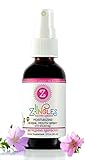 Ziingles - Natural Botanical Dry Mouth Spray Relieves Your Dry Mouth and Optimizes Your Oral Care - Refreshing Raspberry Flavor- 2 fl oz (59ml)
