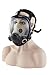 Holulo Organic Vapor Full Face Respirator With Visor Protection For Paint, chemicals, polish