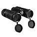 Wingspan Optics RuggedEagle 8X32 Compact Binoculars for Bird Watching. Pocket-Size, Waterproof and Ultra-Lightweight for the Go-Anywhere Traveler. Experience Wood and Stream With Breathtaking Clarity