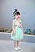Niyage Little Girls Sleeveless Floral Princess Dress Tulle Tutu Sundress 5 Green