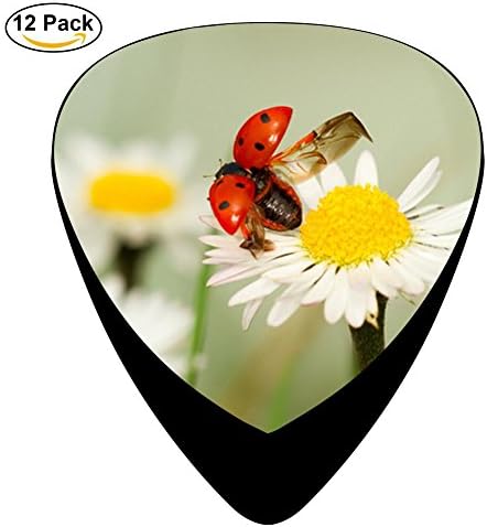Beautiful Ladybug Celluloid Guitar Picks 3 D Print Cool 12-Pack 0.46mm 0.71mm And 0.96mm