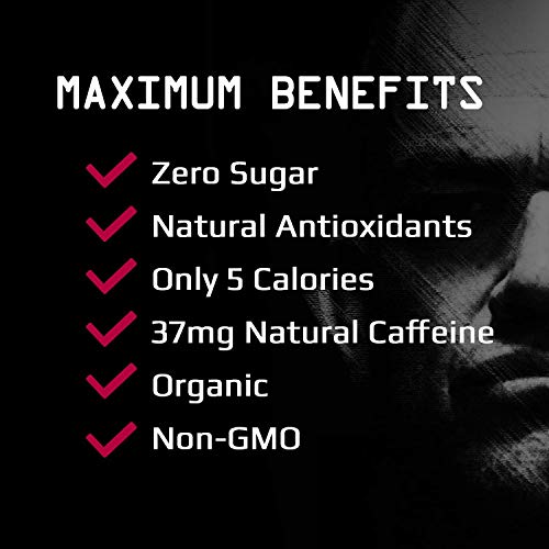 JOCKO WHITE TEA 25 CT Pricepulse