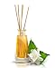 Jasmine Reed Diffuser 3.4 Fl Oz (100ml) - Home Fragrance - Air Freshener - Scented Diffuser - Gift - Spa - Home - Office - Boutique - Floral & Long Lasting Aroma - Aromatherapy