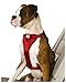 Kurgo Enhanced Strength Tru-Fit Dog Car Harness - Crash Tested for Safety - Broad Chest Plate - All Steel Nested Buckles - Includes Seatbelt Tether - Red - X-Small