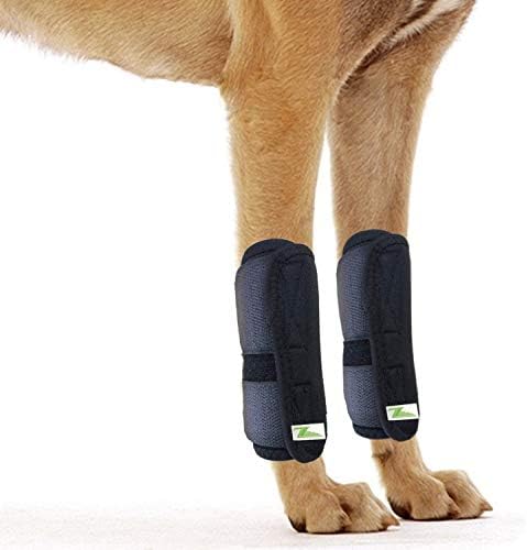 dog ankle brace front leg