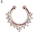 Achieer Nose Ring Septum Piercing Jewelry, Cubic Zircon Fake Septum Nose Ring for Women Non Piercing Clip On Body Piercing Jewelry (Rose Gold)