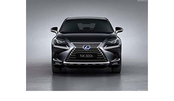 Amazon Com Lexus Nx 18 Poster 18 X 24 Lexus Nx 18 Print Posters Prints