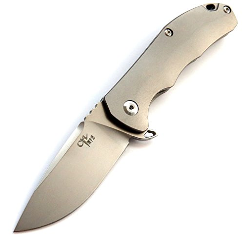 Eafengrow CH3003 Folding Knife AUS-8 Steel Blade TC4 Titanium Alloy Handle Camping Knife Outdoor Hunting Survival EDC Tool Knives (gary)
