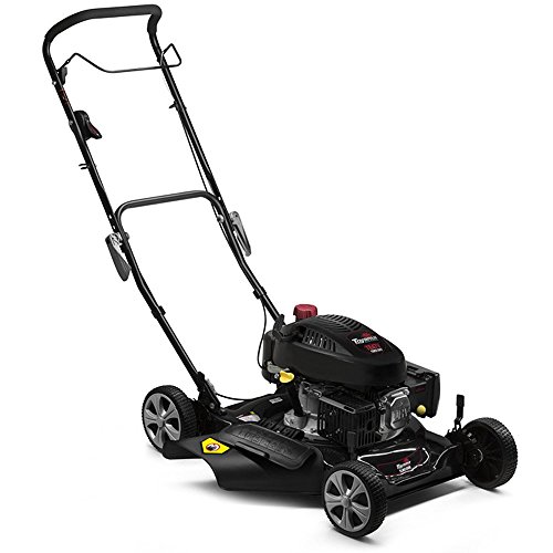 Cortador de Grama a Gasolina 139 Cilindradas 4,5HP TLM510SM-47 - Toyama