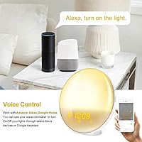 google home light alarm