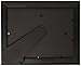 Dax 8.5x11 Classic Rosewood and Black Document Frame, Wall or Table Top Display