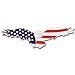 American Flag Patriotic Eagle Lapel Pin, 1 Piece