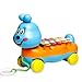 Bluelans Early Education 1 Year Olds Baby Xylophone Toy Musical Instrument Pull Along Educational Toy for Children & Kids Boys and Girls Christmas/Birthday Gift Colorful
