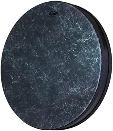 Amazon.com: Remo Ocean Drum - Fish Graphic, 12