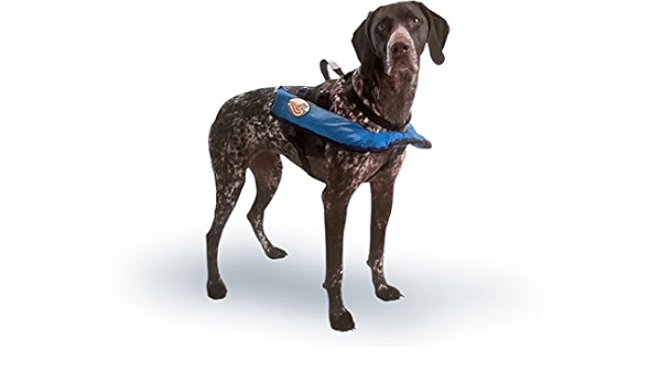 Inflatable dog life vest Clearance