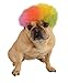 Rubie's Wig for Pets, Small to Medium, Rainbow Afro