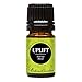 Edens Garden Uplift Essential Oil Synergy Blend, 100% Pure Therapeutic Grade (Undiluted Natural/Homeopathic Aromatherapy Scented Essential Oil Blends) 5 ml