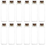 JZMYXA Potion Bottles Mini Glass Bottles Jars