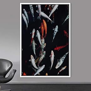 signwin Framed Canvas Wall Art Fish Bedroom Colorful...