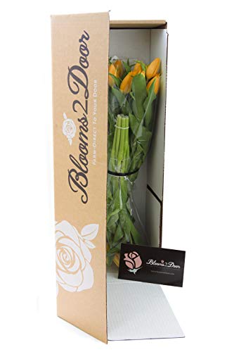 Blooms2Door 20 Orange Tulips (Farm-Fresh Flowers, Cut-to-Order, and Homegrown in the USA) - Thumbnail 2