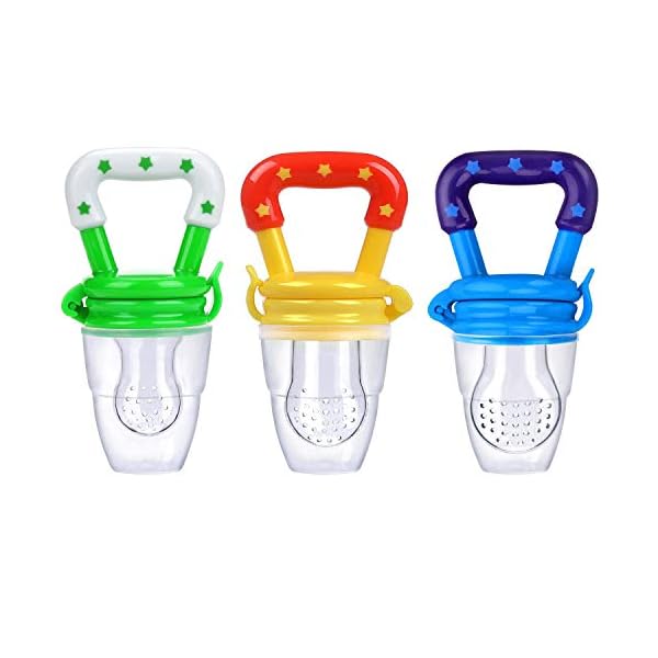 teething fruit dummy