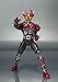 TAMASHII NATIONS Bandai S.H. Figuarts Burning Form of Kamen Rider Agito Action Figure