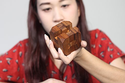 Hidden Passage: Handmade & Organic 3D Brain Teaser Wooden Puzzle for Adults from SiamMandalay with Free SM Gift Box(Pictured)
