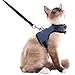 SCENEREAL Escape Proof Cat Harness and Leash - Adjustable Soft Mesh Vest Harness for Rabbits Puppy Kittens, L
