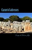 Image de Carnet d'adresses: Adresse / Telephone / E-mail / Anniversaire / Site Web / Log in / Mot de passe / Collection Mysteres 7 (French Edition)