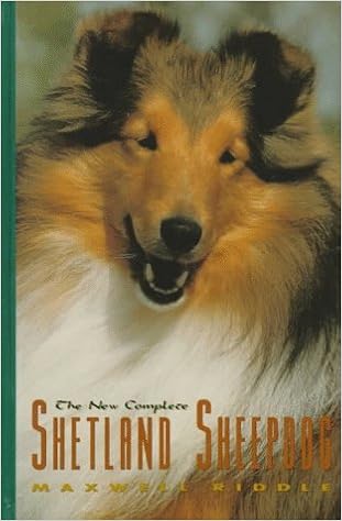 The New Complete Shetland Sheepdog �n�[�h�J�o�[  - 1991/12/1