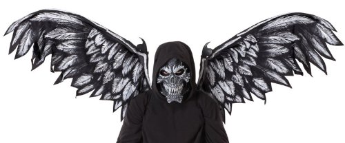 Fallen Angel Mask and Wings Costume