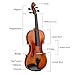 Professional 4/4 Full-size Hand-made Ebony Violin, Suitable for Professional Students and Beginners, Including Bow, Rosin, Strings, and Case.