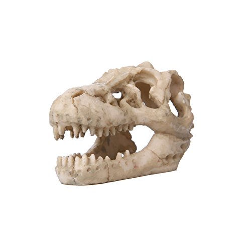Saim Aquarium Decor Resin Emulational Dinosaur Skull Ornament Small