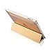 Nouske Smart Stand Pedestal Screen Protector Cover for Apple iPad 2 3 4 with Retina Display - Gold