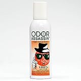 Odor Assassin Odor Eliminator Fresh Orange Scent, 8 Ounce