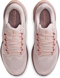 Nike Women's Pegasus 41 Sneaker, Silt Red/Metallic