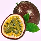 Faeries Finest Flavor Extract, Passion Fruit, 2 Ounce