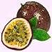 Faeries Finest Flavor Extract, Passion Fruit, 2 Ounce