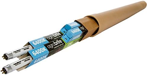 HydrofarmFLT5264 T5 2ft Replacement 6400k 24watt Bulbs, Pack of 4