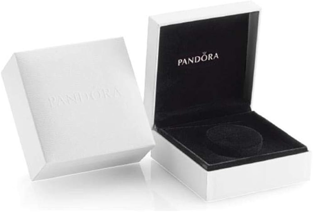 Pandora PAU994SW - Joyero para bisutería: Amazon.es: Joyería