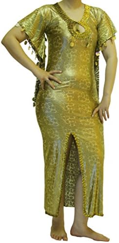 EgyptianSouvenirsGifts Women's Belly Dance Dress Costume