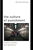 The Culture of Punishment: Prison, Society, and Spectacle (Alternative Criminology)